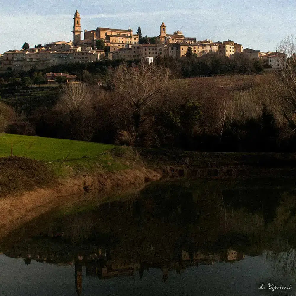 Approfondisci la nostra storia, da piccolo laboratorio ad azienda all'avanguardia.