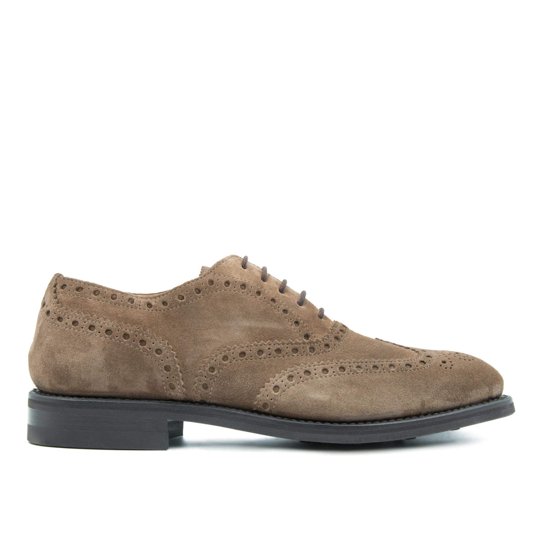 Il Gergo classic suede men's shoe, Consultant model.
